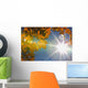 Fall Colors And Sunshine, Ontario Wall Mural