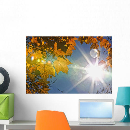 Fall Colors And Sunshine, Ontario Wall Mural