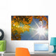 Fall Colors And Sunshine, Ontario Wall Mural