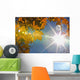 Fall Colors And Sunshine, Ontario Wall Mural