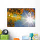 Fall Colors And Sunshine, Ontario Wall Mural
