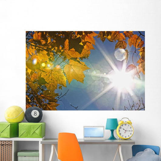 Fall Colors And Sunshine, Ontario Wall Mural