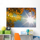 Fall Colors And Sunshine, Ontario Wall Mural