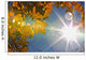 Fall Colors And Sunshine, Ontario Wall Mural