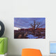 Timed Exposure Of Sunset Clouds Over Tree And Cove Of Caves Wall Mural