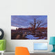 Timed Exposure Of Sunset Clouds Over Tree And Cove Of Caves Wall Mural