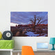 Timed Exposure Of Sunset Clouds Over Tree And Cove Of Caves Wall Mural