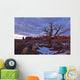 Timed Exposure Of Sunset Clouds Over Tree And Cove Of Caves Wall Mural