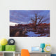 Timed Exposure Of Sunset Clouds Over Tree And Cove Of Caves Wall Mural