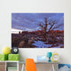 Timed Exposure Of Sunset Clouds Over Tree And Cove Of Caves Wall Mural