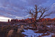 Timed Exposure Of Sunset Clouds Over Tree And Cove Of Caves Wall Mural