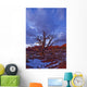 Timed Exposure Of Sunset Clouds Over Tree And Cove Of Caves Wall Mural