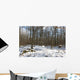 Foret Sous La Neige Wall Mural