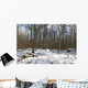 Foret Sous La Neige Wall Mural