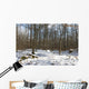 Foret Sous La Neige Wall Mural