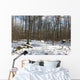 Foret Sous La Neige Wall Mural
