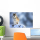 Wolf Wall Mural
