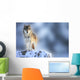Wolf Wall Mural