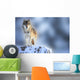 Wolf Wall Mural