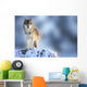 Wolf Wall Mural