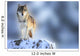 Wolf Wall Mural