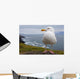 European Herring Gull Perched Wall Mural