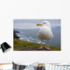 European Herring Gull Perched Wall Mural