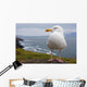European Herring Gull Perched Wall Mural
