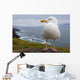 European Herring Gull Perched Wall Mural