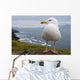 European Herring Gull Perched Wall Mural
