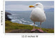 European Herring Gull Perched Wall Mural