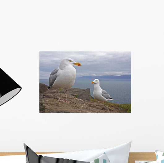 Seagulls On Slea Head On The Dingle Peninsula Wall Mural