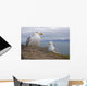 Seagulls On Slea Head On The Dingle Peninsula Wall Mural