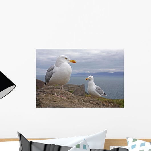 Seagulls On Slea Head On The Dingle Peninsula Wall Mural