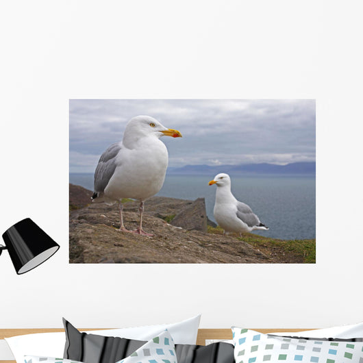 Seagulls On Slea Head On The Dingle Peninsula Wall Mural