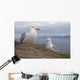 Seagulls On Slea Head On The Dingle Peninsula Wall Mural