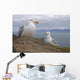 Seagulls On Slea Head On The Dingle Peninsula Wall Mural
