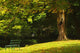 Park Bench Beside The Owenriff River In Oughterard Village Wall Mural