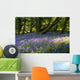 Mount Congreve Gardens Wall Mural