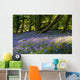 Mount Congreve Gardens Wall Mural