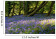 Mount Congreve Gardens Wall Mural
