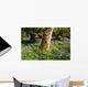 Mount Congreve Gardens Wall Mural