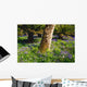 Mount Congreve Gardens Wall Mural