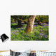 Mount Congreve Gardens Wall Mural