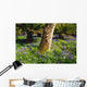 Mount Congreve Gardens Wall Mural