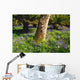 Mount Congreve Gardens Wall Mural