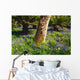 Mount Congreve Gardens Wall Mural