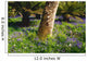 Mount Congreve Gardens Wall Mural
