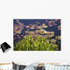 Lily Pads In A Lake Near Dunmanus Bay Wall Mural