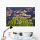 Lily Pads In A Lake Near Dunmanus Bay Wall Mural